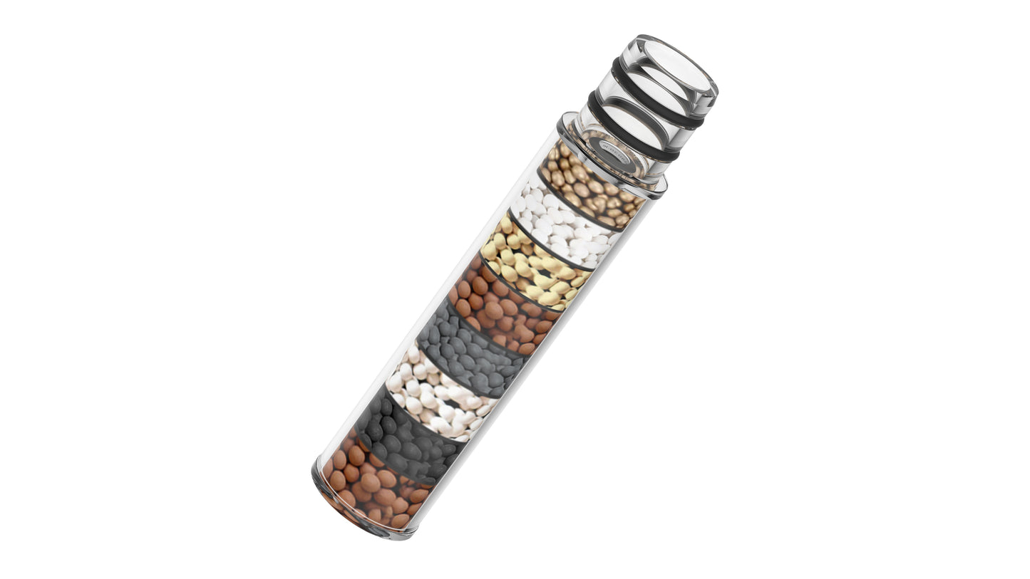 VXV Two Shower Head Filters
