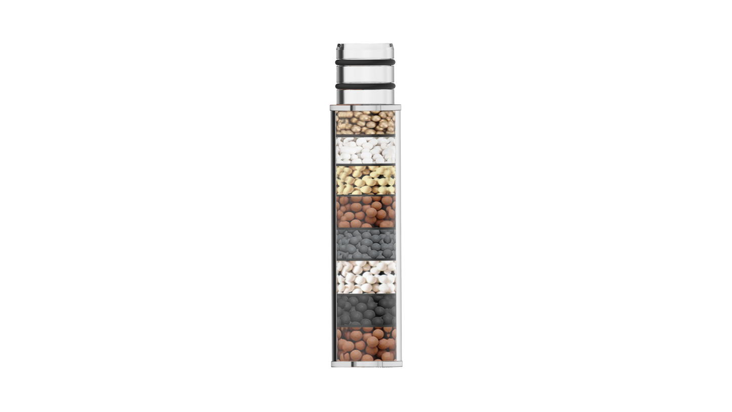 VXV Two Shower Head Filters